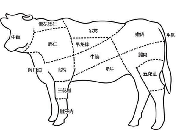 冷凍牛肉進口報關