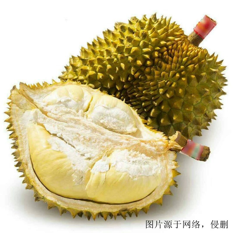 廣州進口越南榴蓮報關流程